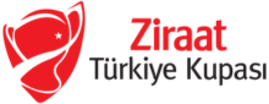 جام حذفی ترکیه